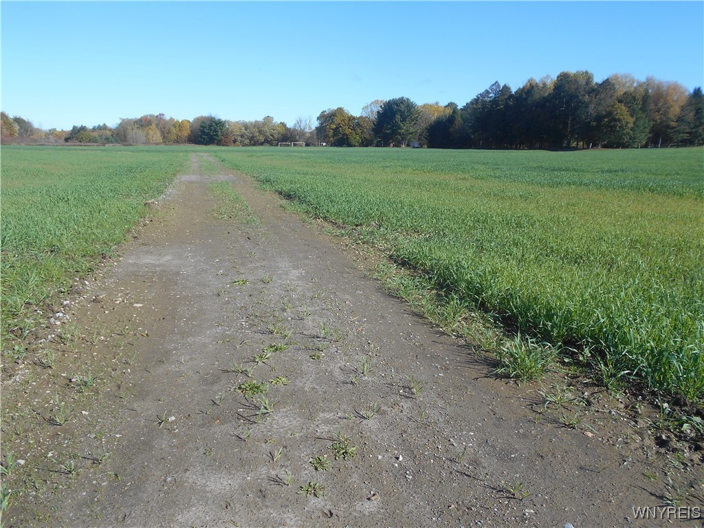 North State Road Hamburg, NY 14075 - Photo 30 of 34