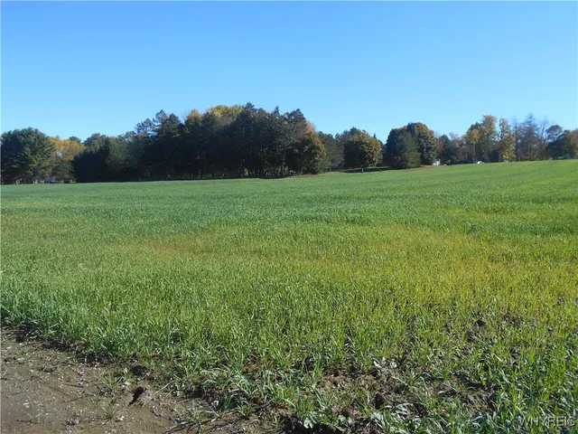 $2,750,000 | North State Road, Hamburg, NY 14075