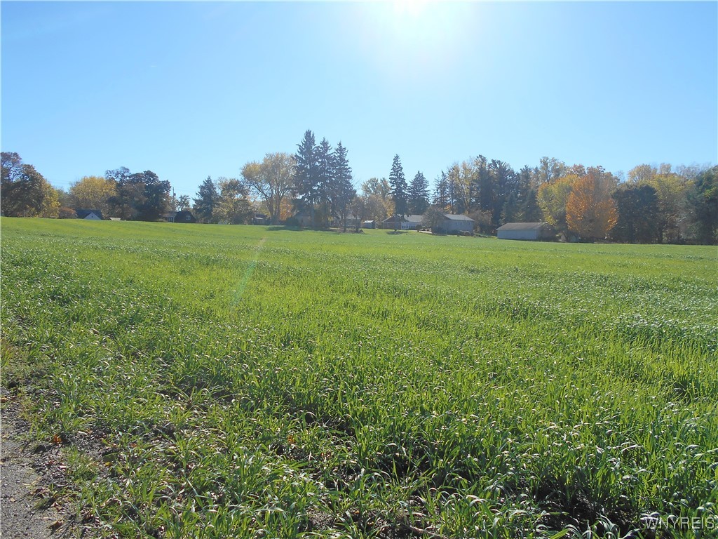 North State Road Hamburg, NY 14075 - Photo 32 of 34