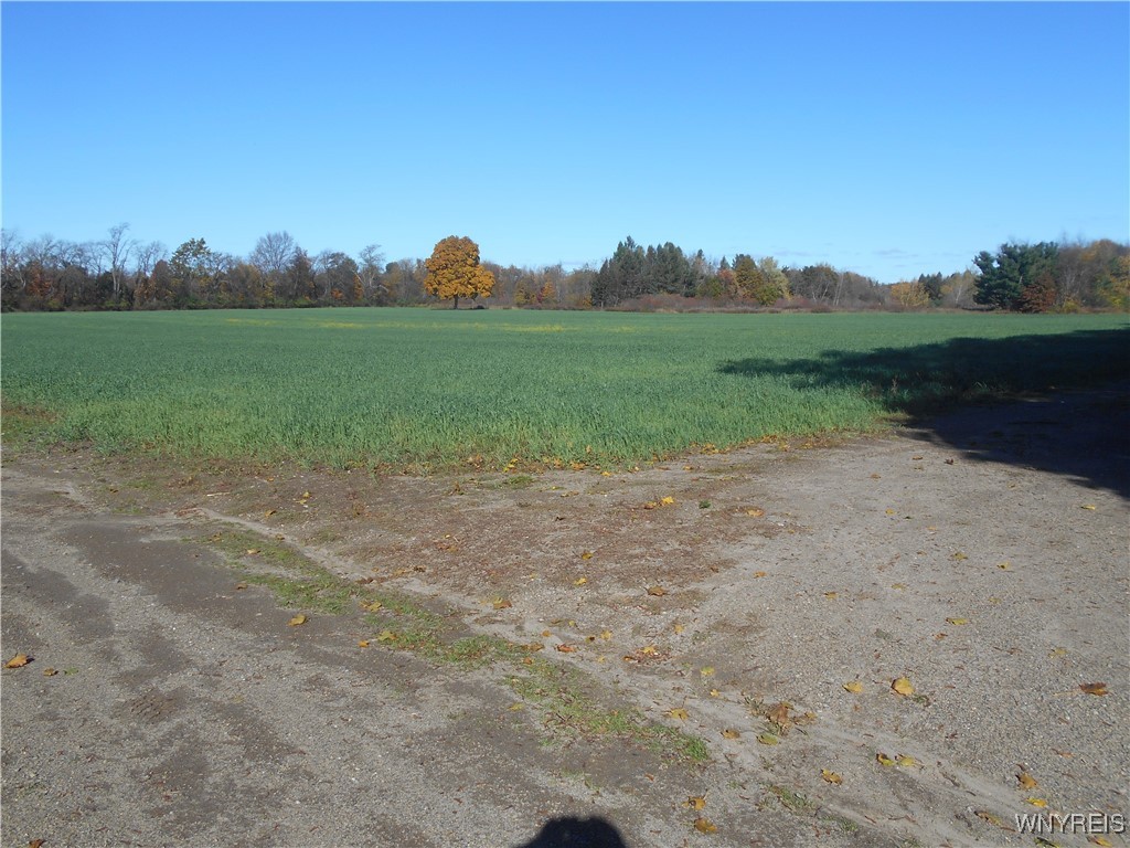 North State Road Hamburg, NY 14075 - Photo 8 of 34