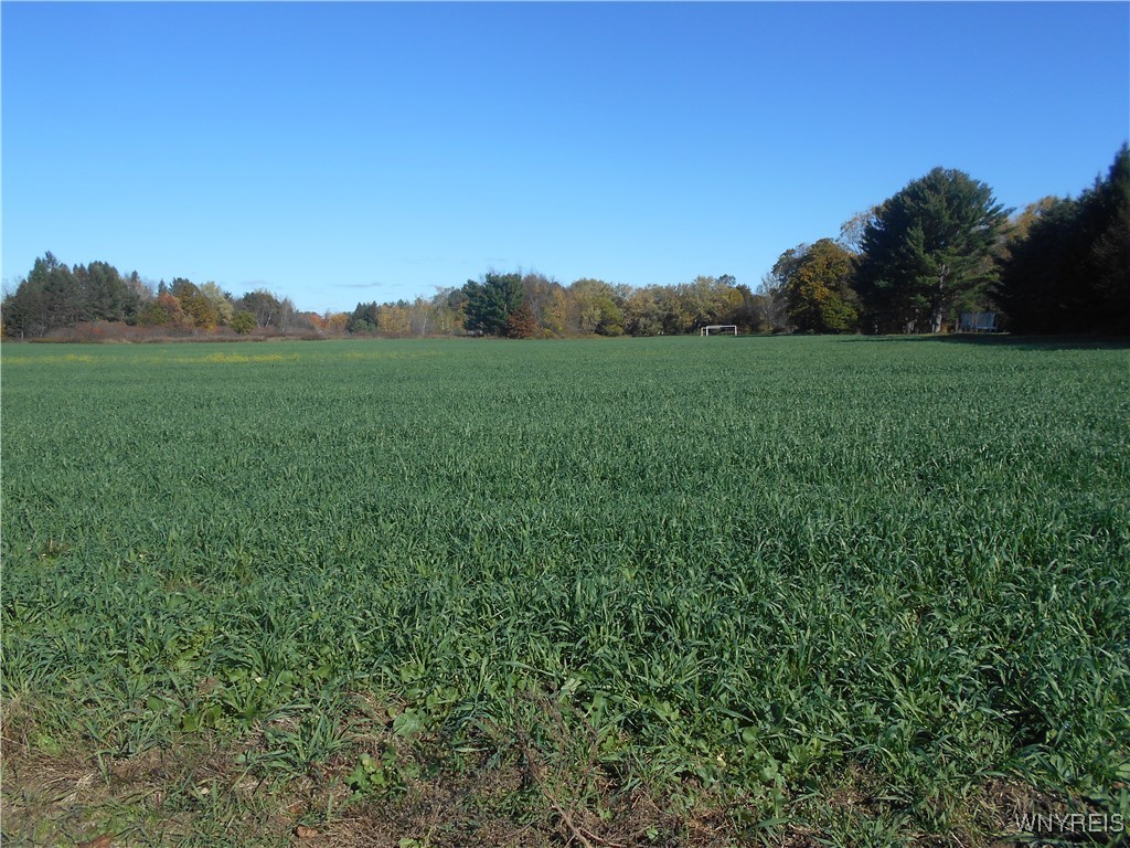North State Road Hamburg, NY 14075 - Photo 9 of 34