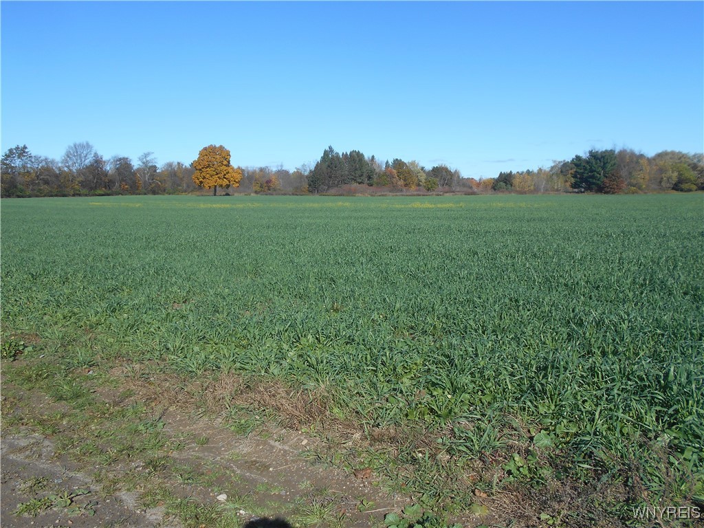 North State Road Hamburg, NY 14075 - Photo 10 of 34