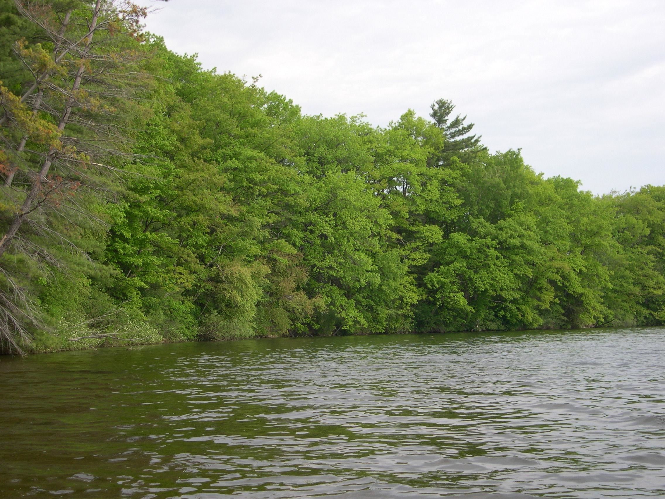 1541 Edgewater Ridge Traverse City, MI 49684 - Photo 12 of 21 1914186-11.JPG