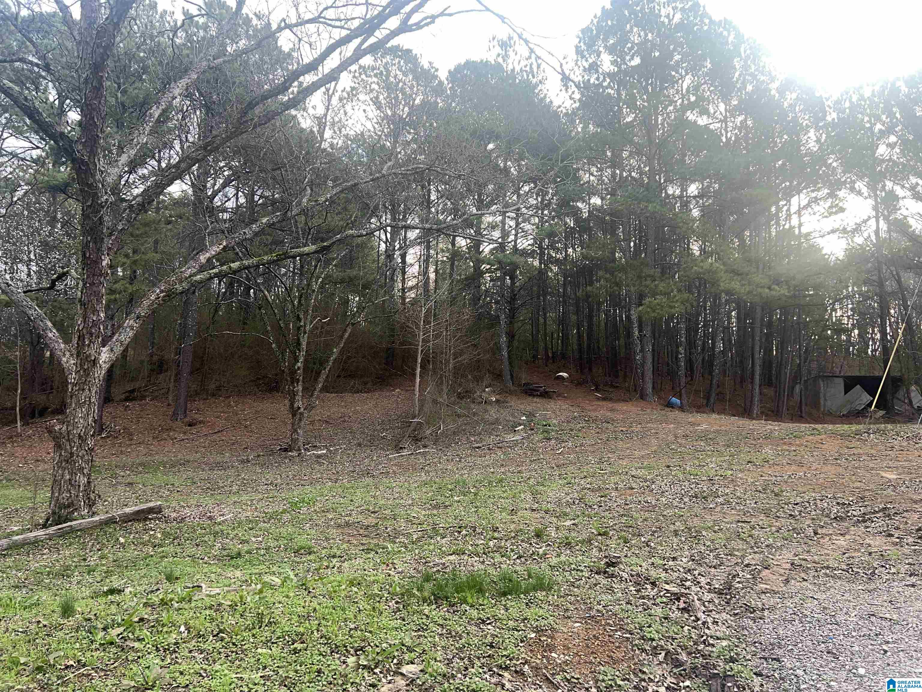 2307 Forestdale Bend Road Birmingham, AL 35214 - Photo 14 of 15