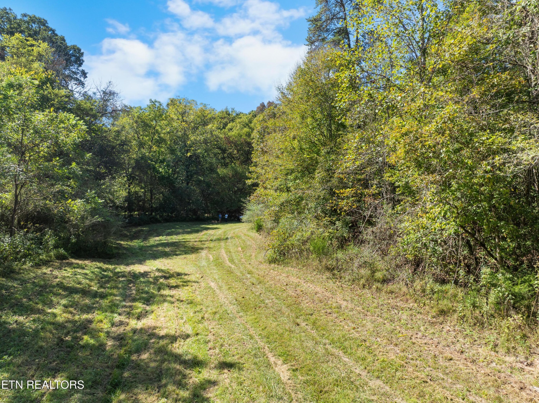 100 French Road Knoxville, TN 37920 - Photo 14 of 51 Gallery Image 14