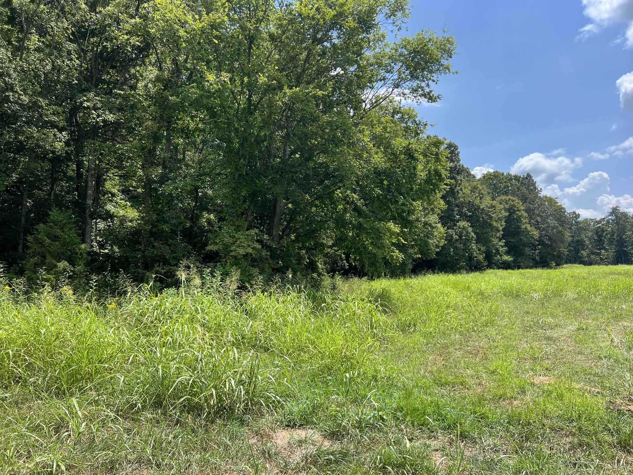 1 Sparkman Road Cumberland Furnace, TN 37051 - Photo 2 of 4