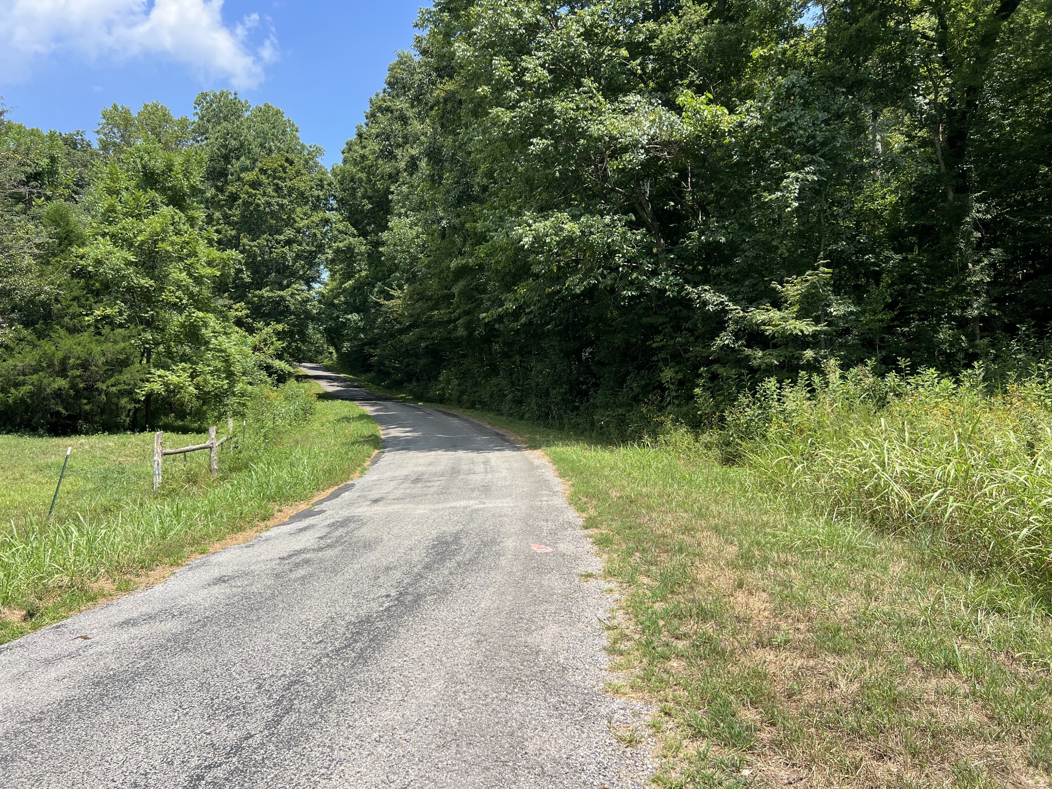 1 Sparkman Road Cumberland Furnace, TN 37051 - Photo 3 of 4