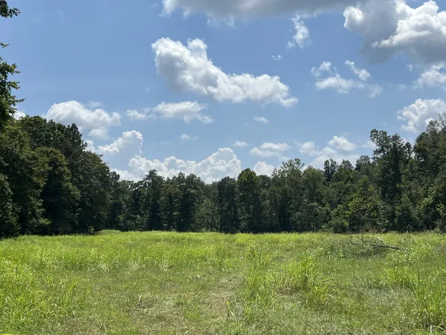 a view of a yard and mountain