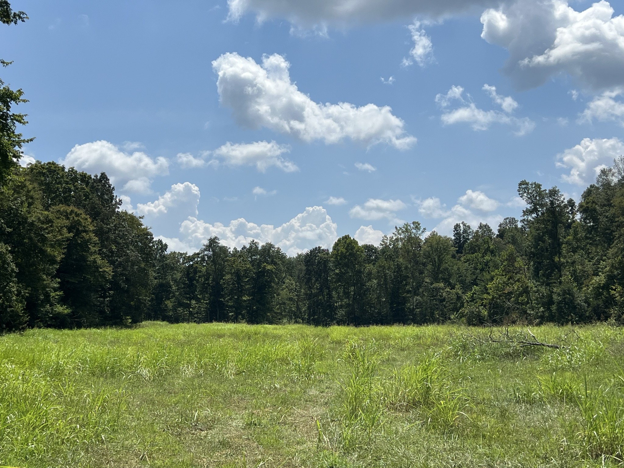 1 Sparkman Road Cumberland Furnace, TN 37051 - Photo 4 of 4