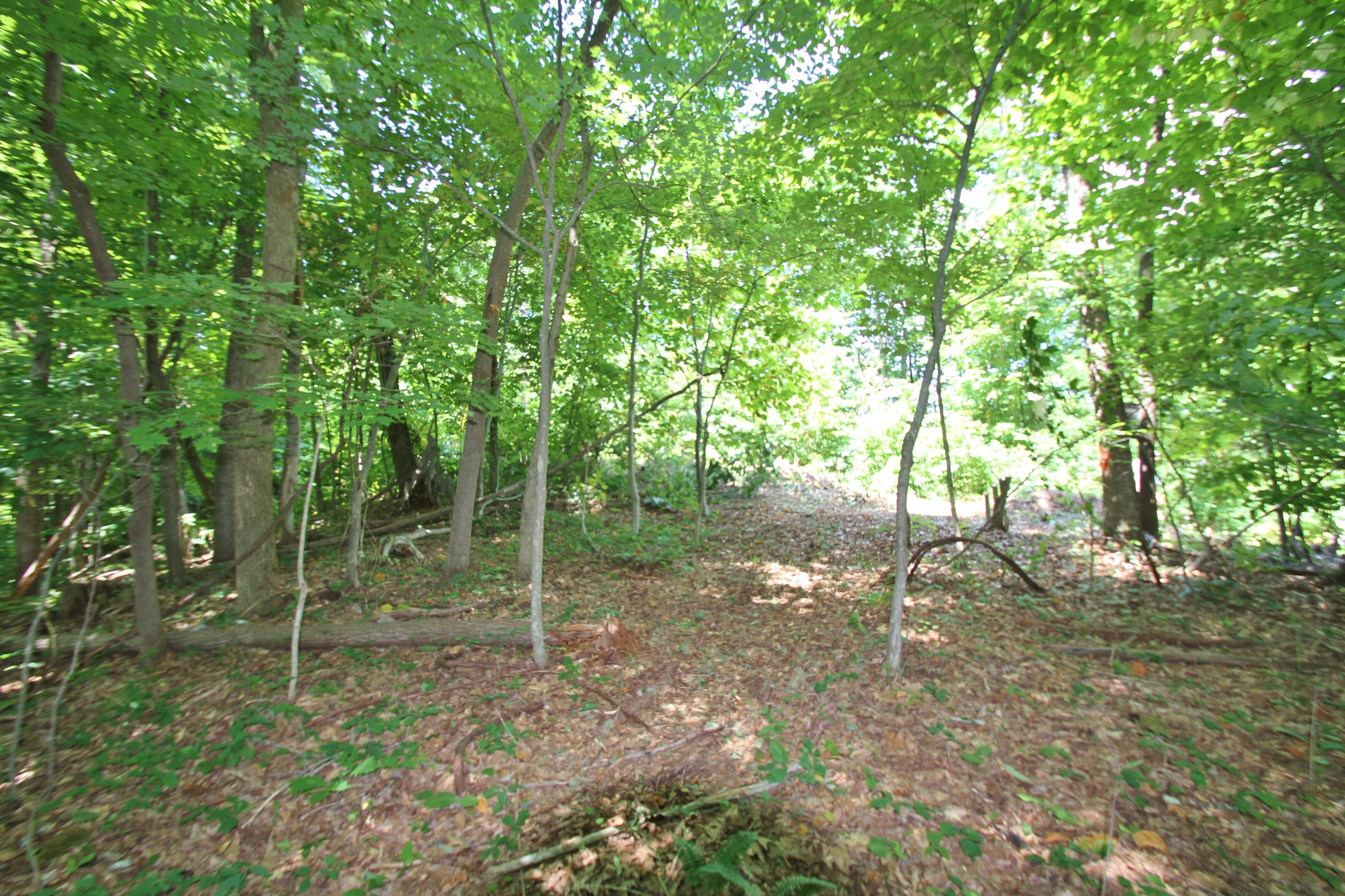 Lot 46 South Ridge Lane Ballard, WV 24918 - Photo 9 of 12 Gallery Image 9