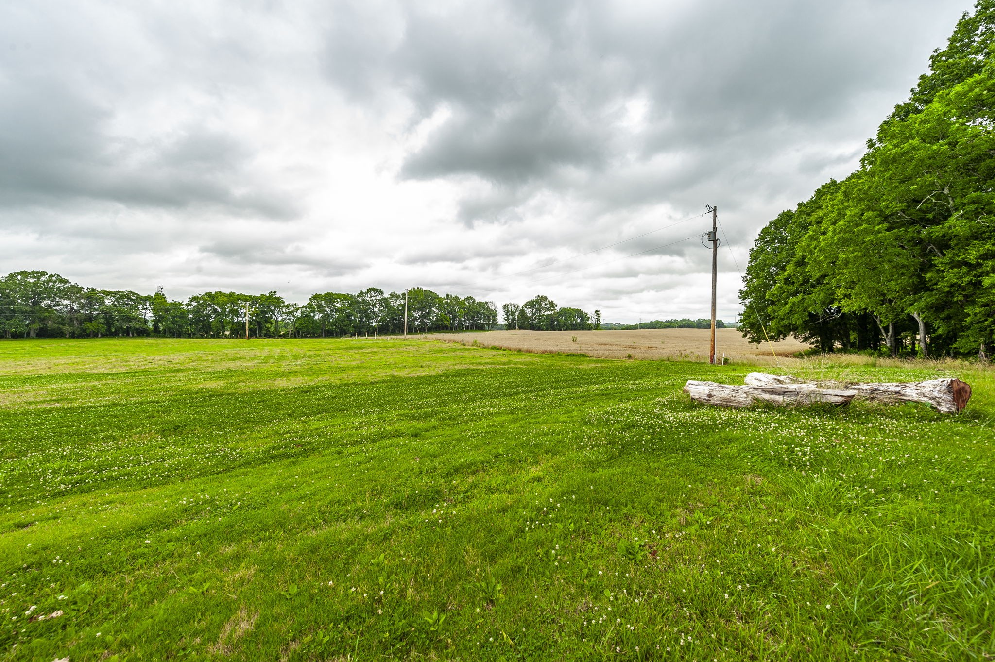 1113 East Robertson Road Castalian Springs, TN 37031 - Photo 22 of 56