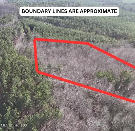 $35,750 | 414 Cr Falkner Ms 38629, Ripley, MS 38663