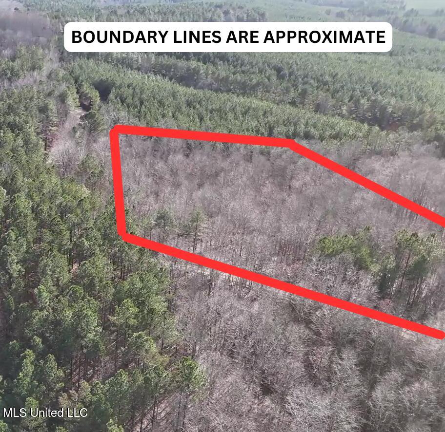 414 Cr Falkner Ms 38629 Ripley, MS 38663 - Photo 2 of 3 BOUNDARY LINES ARE APPROXIMATE