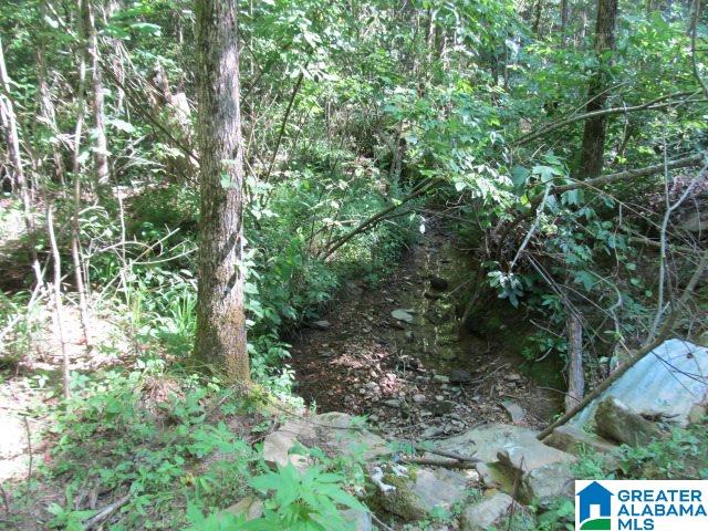 0 Choctaw Trail, Unit 10 Hayden, AL 35079 - Photo 18 of 24