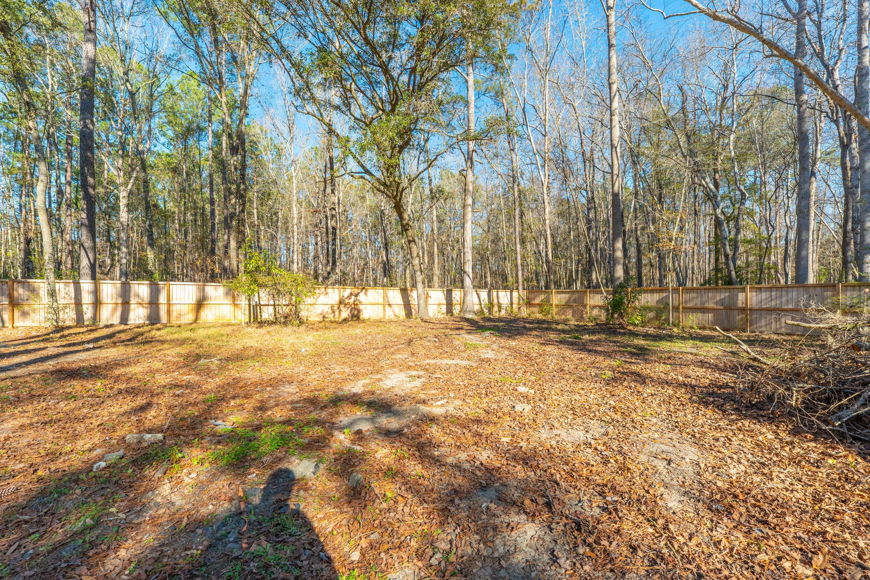 1260 Ridge Road Ridgeville, SC 29472 - Photo 31 of 36 Backyard