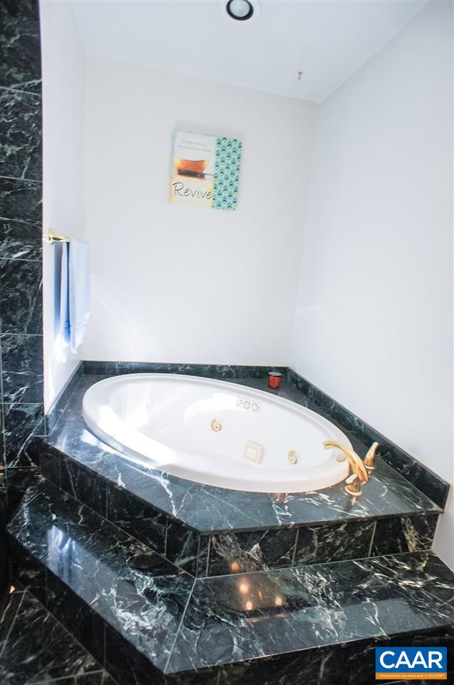 532 Watson Road Ruckersville, VA 22968 - Photo 16 of 21 a view of a jacuzzi