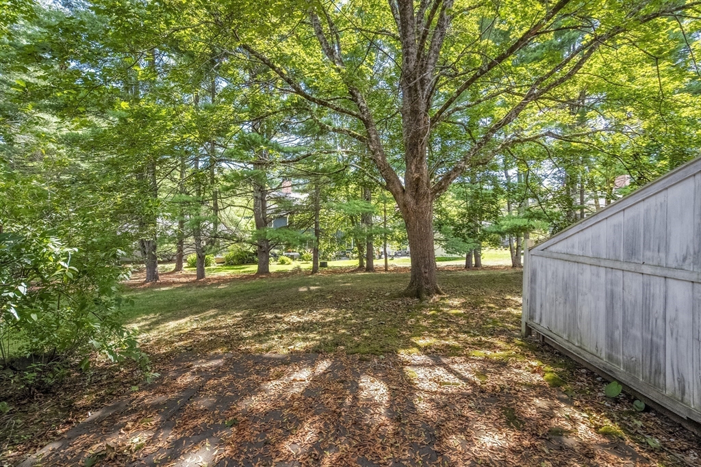 24 Jericho Road, Unit 24 Weston, MA 02493 - Photo 36 of 36 a view of a yard with large trees and wooden fence