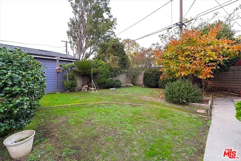a backyard of a house with plants and large tree
