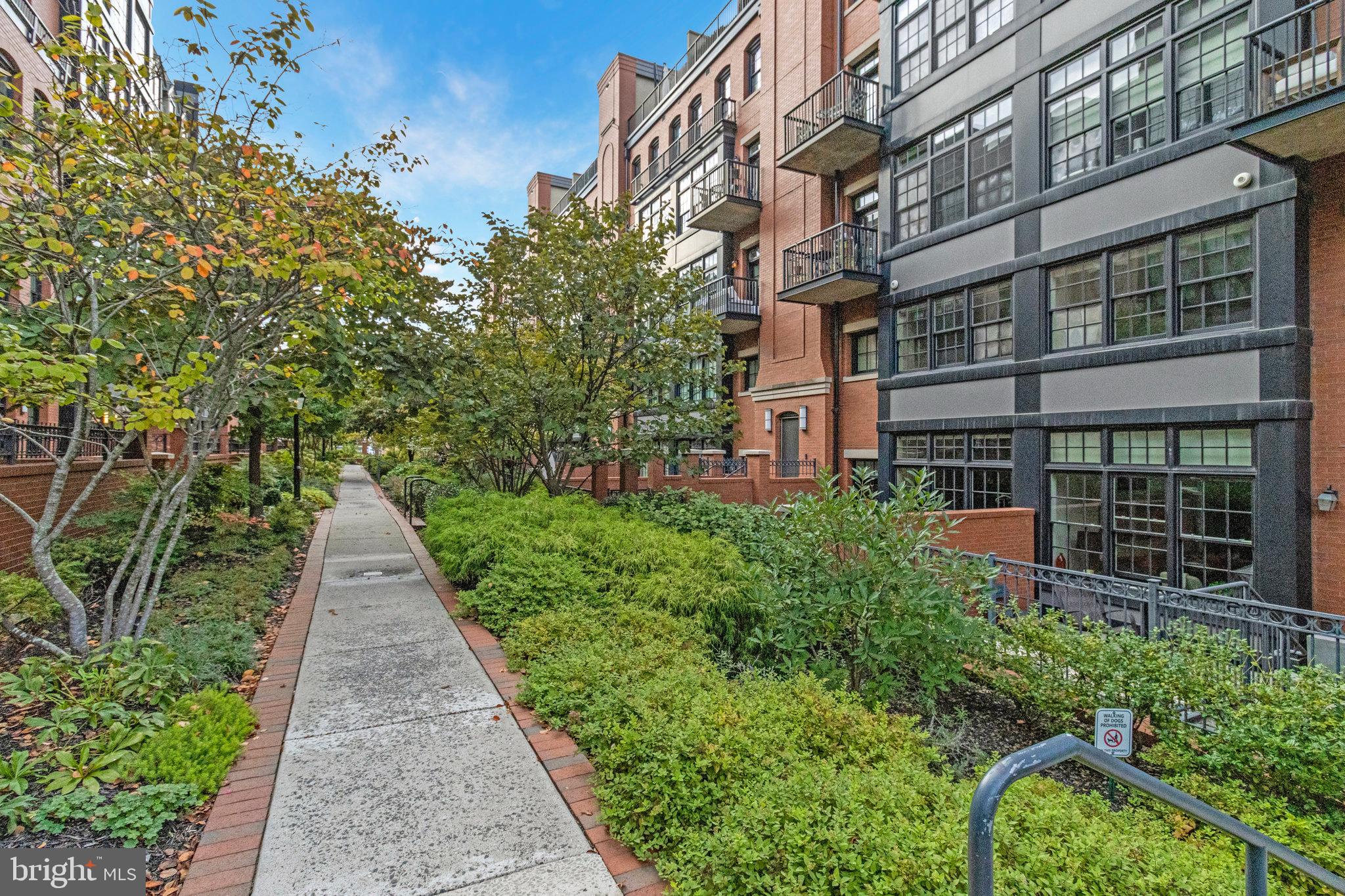 1610 North Queen Street, Unit 211 Arlington, VA 22209 - Photo 42 of 43 a view of a pathway both side of house