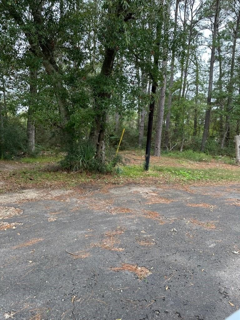 0 Reeves Cemetary Road Dayton, TX 77535 - Photo 4 of 5 Lots of seasoned trees
