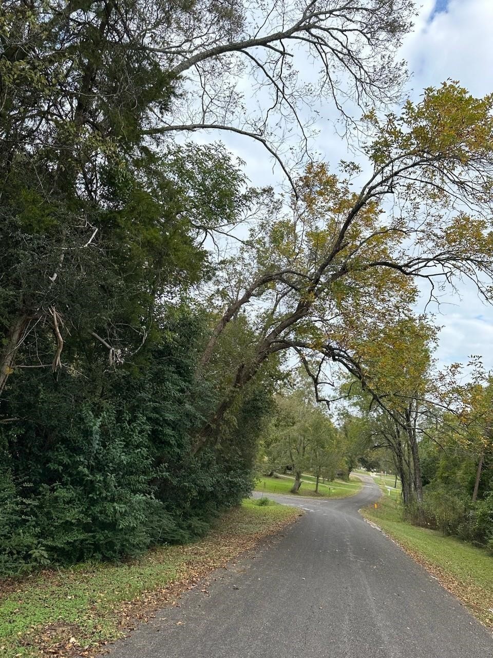 0 Reeves Cemetary Road Dayton, TX 77535 - Photo 5 of 5 Great road