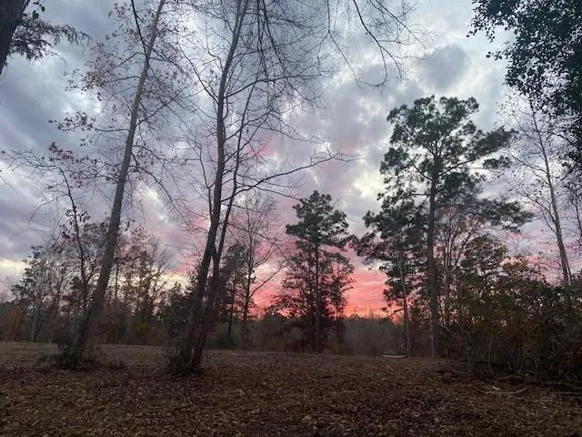 a view of outdoor space and mountain view