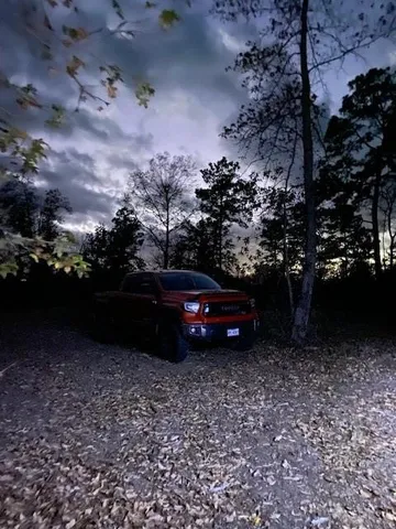 a view of yard with trees