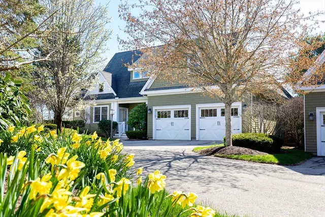 a view of a house with a yard and tree s