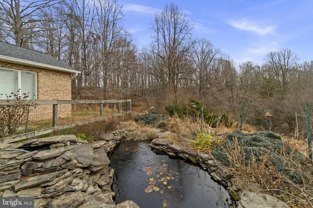 a bench sitting in the middle of a forest
