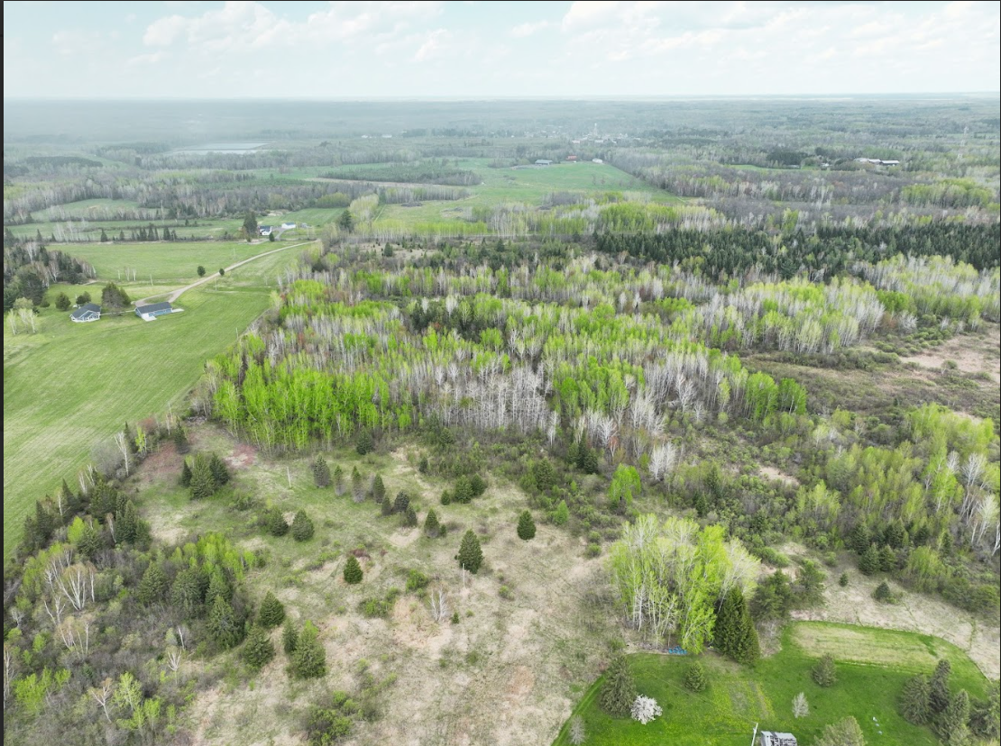 0 Fine Lakes Road Floodwood, MN 55736 - Photo 9 of 10