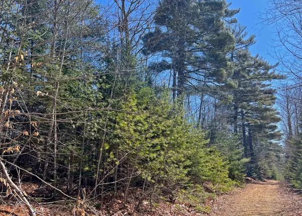 $45,000 | 0 Boggy Brook Road, Ellsworth, ME 04605