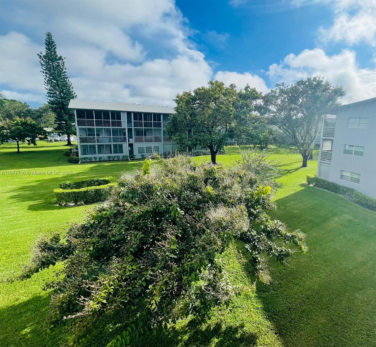 251 Suffolk F, Unit 251 Boca Raton, FL 33434 - Photo 17 of 25 a view of a big yard with large trees