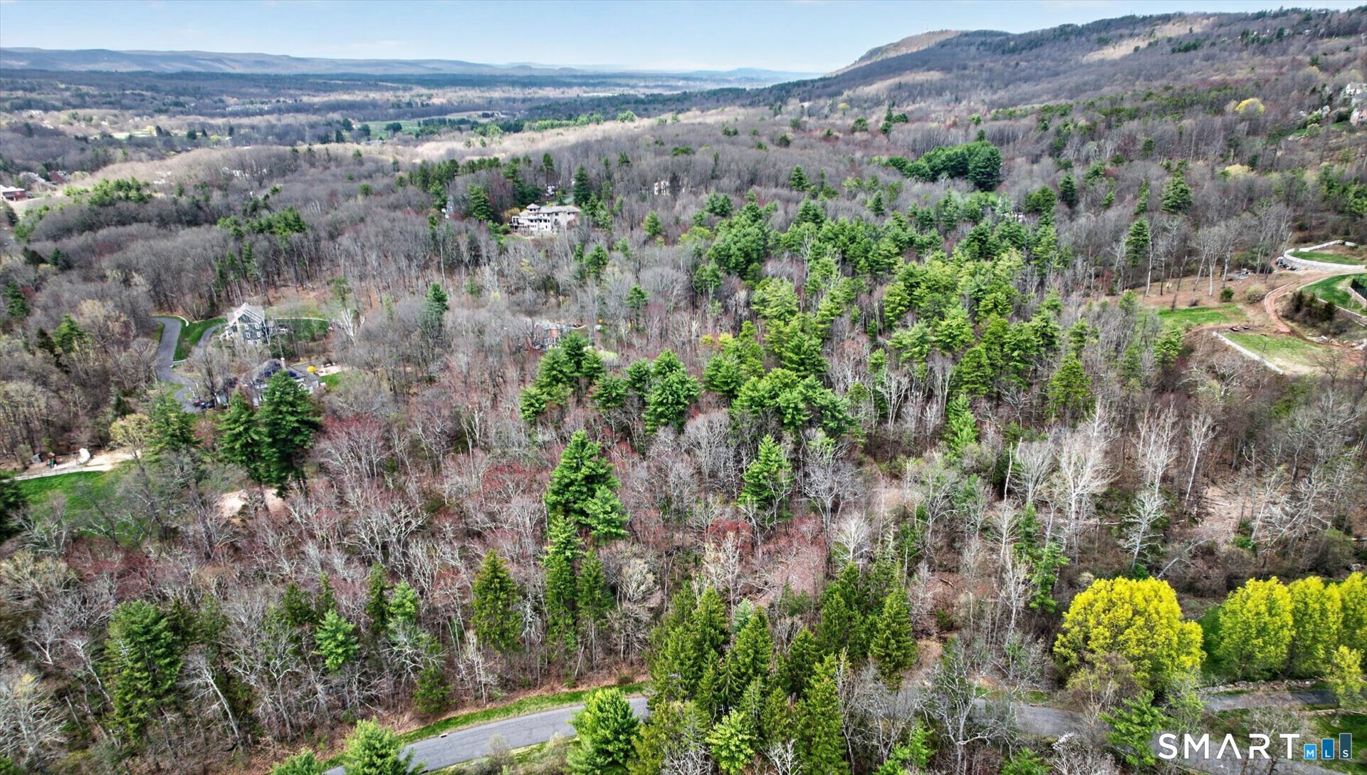 20 Breezy Knoll Avon, CT 06001 - Photo 3 of 17 a view of a lot of trees and bushes