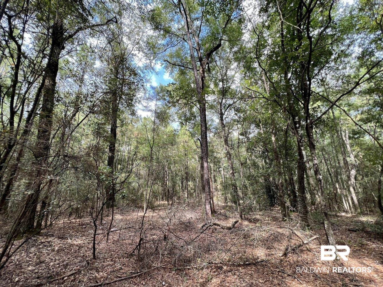 0 Bear Fork Road Mobile, AL 36618 - Photo 44 of 50