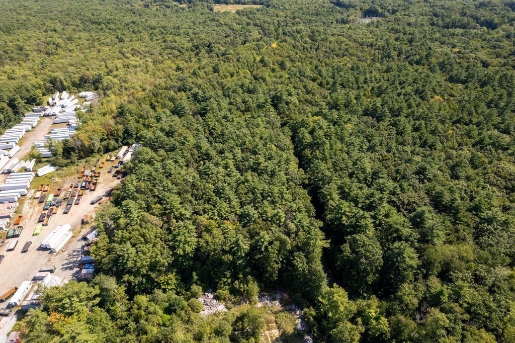 154 Lafayette Road Salisbury, MA 01952 - Photo 16 of 16 a view of a forest with a tree