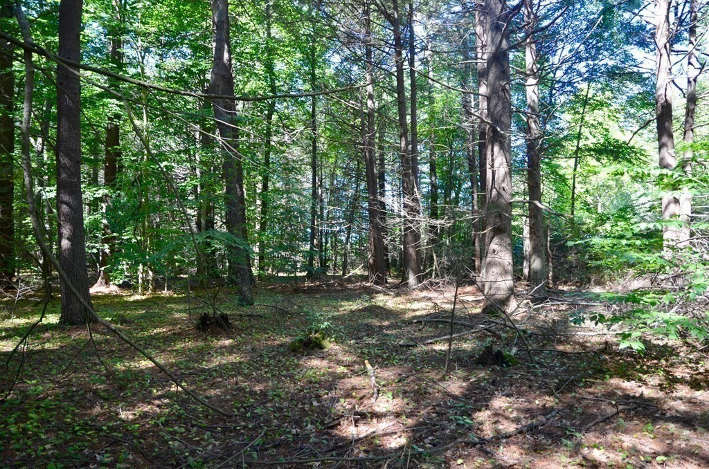 154 Lafayette Road Salisbury, MA 01952 - Photo 7 of 16 a view of outdoor space with trees
