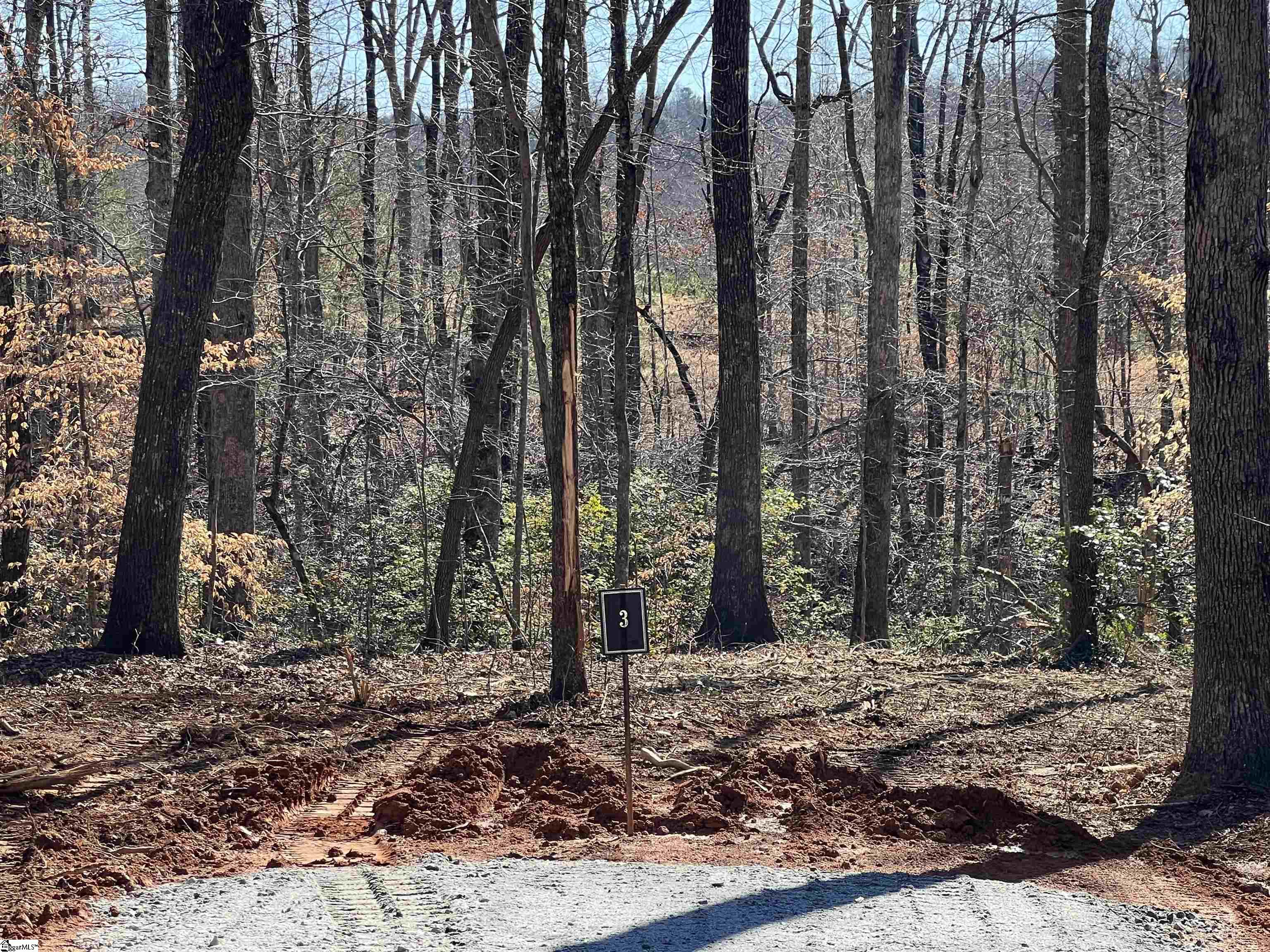 0 Bates Crossing Road, Unit LOT 3 Travelers Rest, SC 29690 - Photo 2 of 6