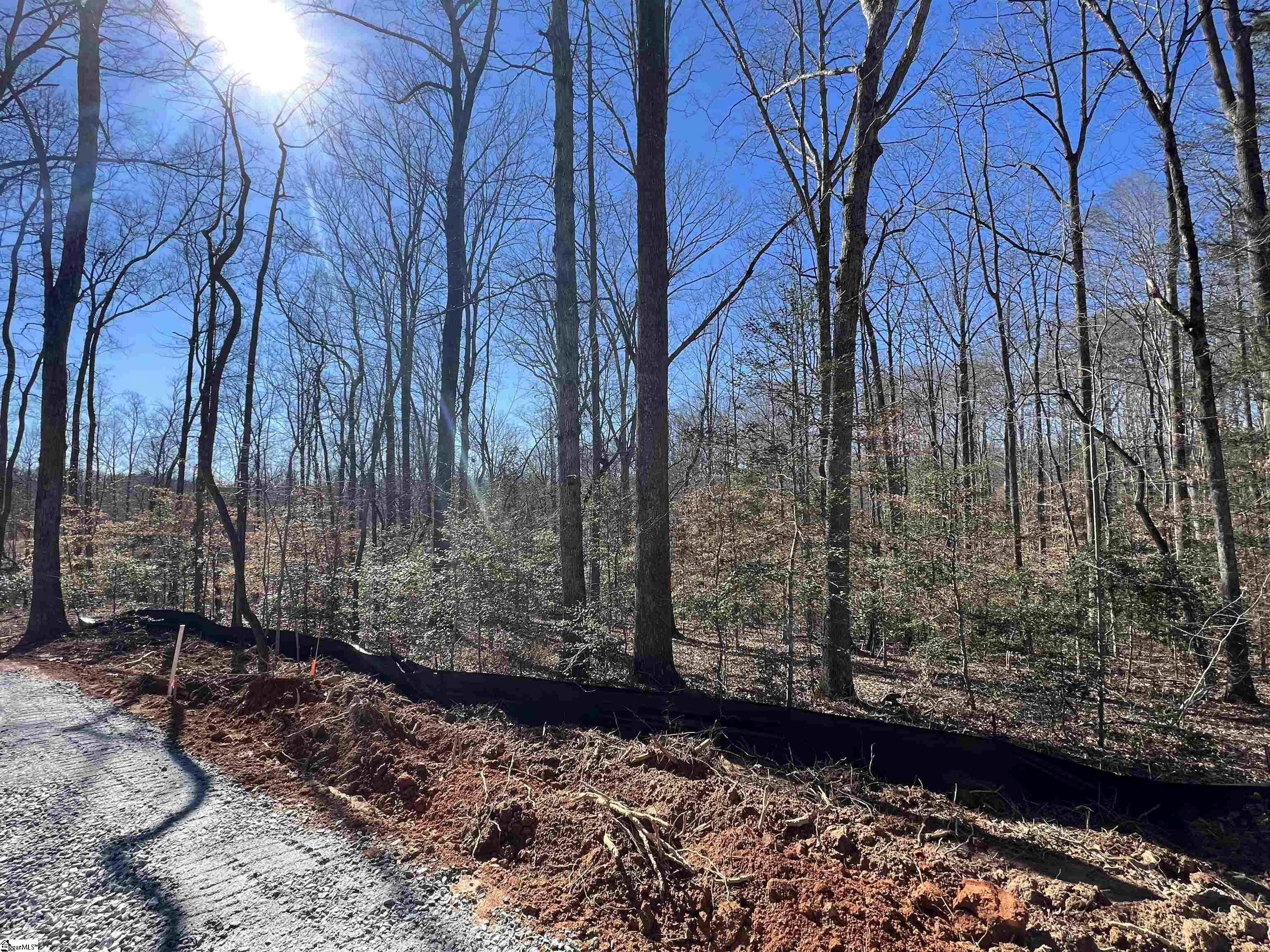 0 Bates Crossing Road, Unit LOT 3 Travelers Rest, SC 29690 - Photo 3 of 6