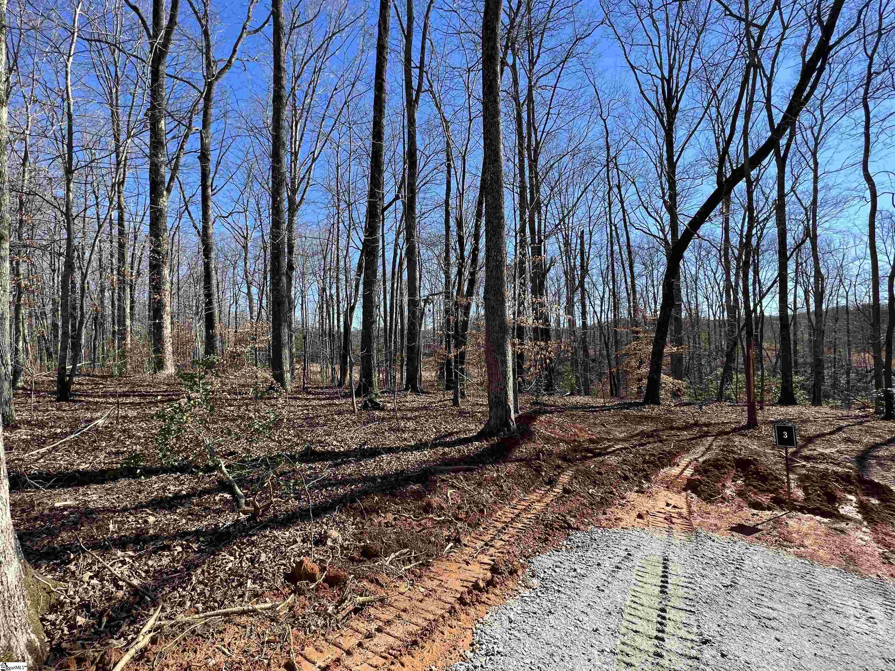 0 Bates Crossing Road, Unit LOT 3 Travelers Rest, SC 29690 - Photo 4 of 6