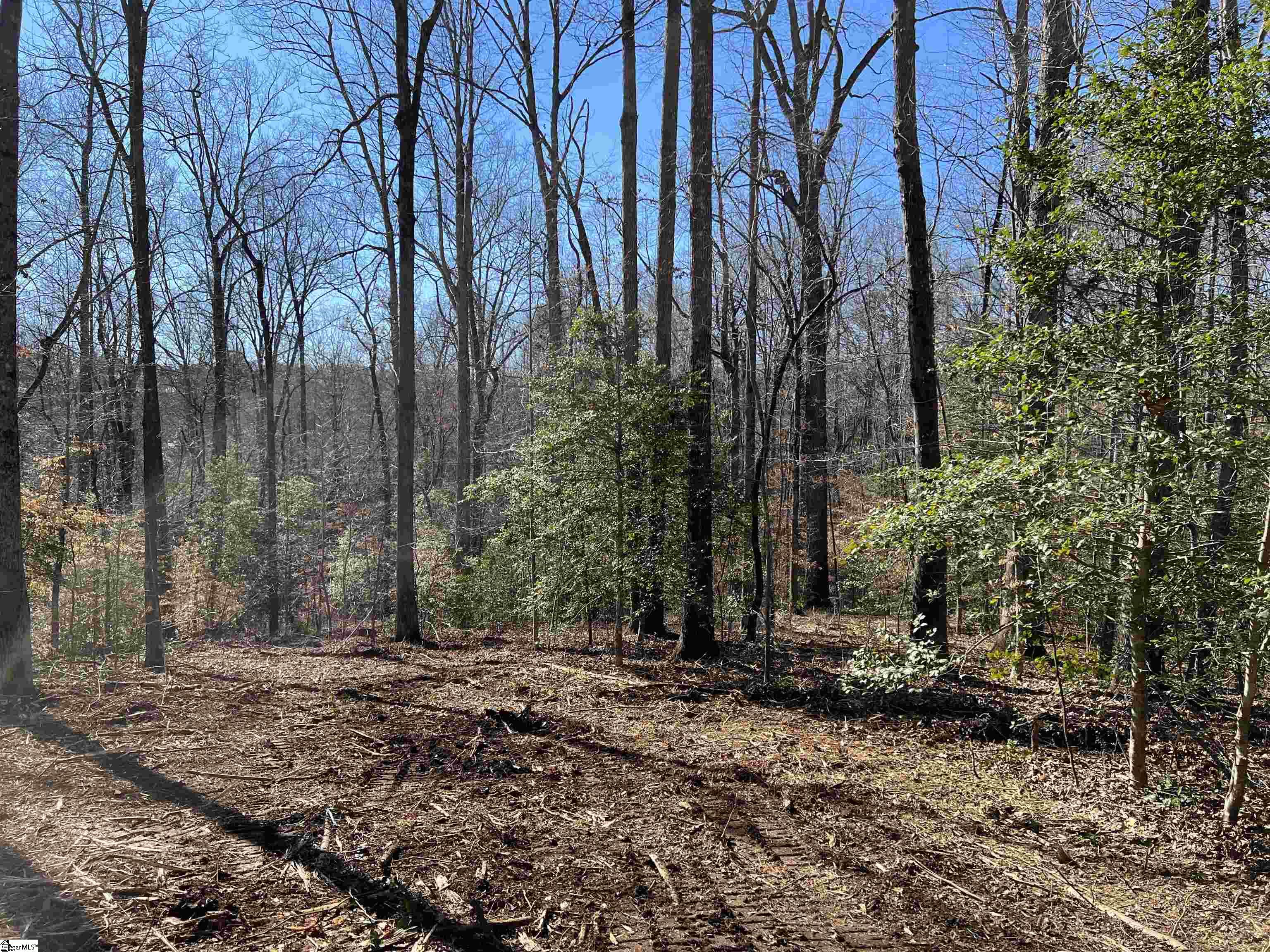 0 Bates Crossing Road, Unit LOT 3 Travelers Rest, SC 29690 - Photo 5 of 6