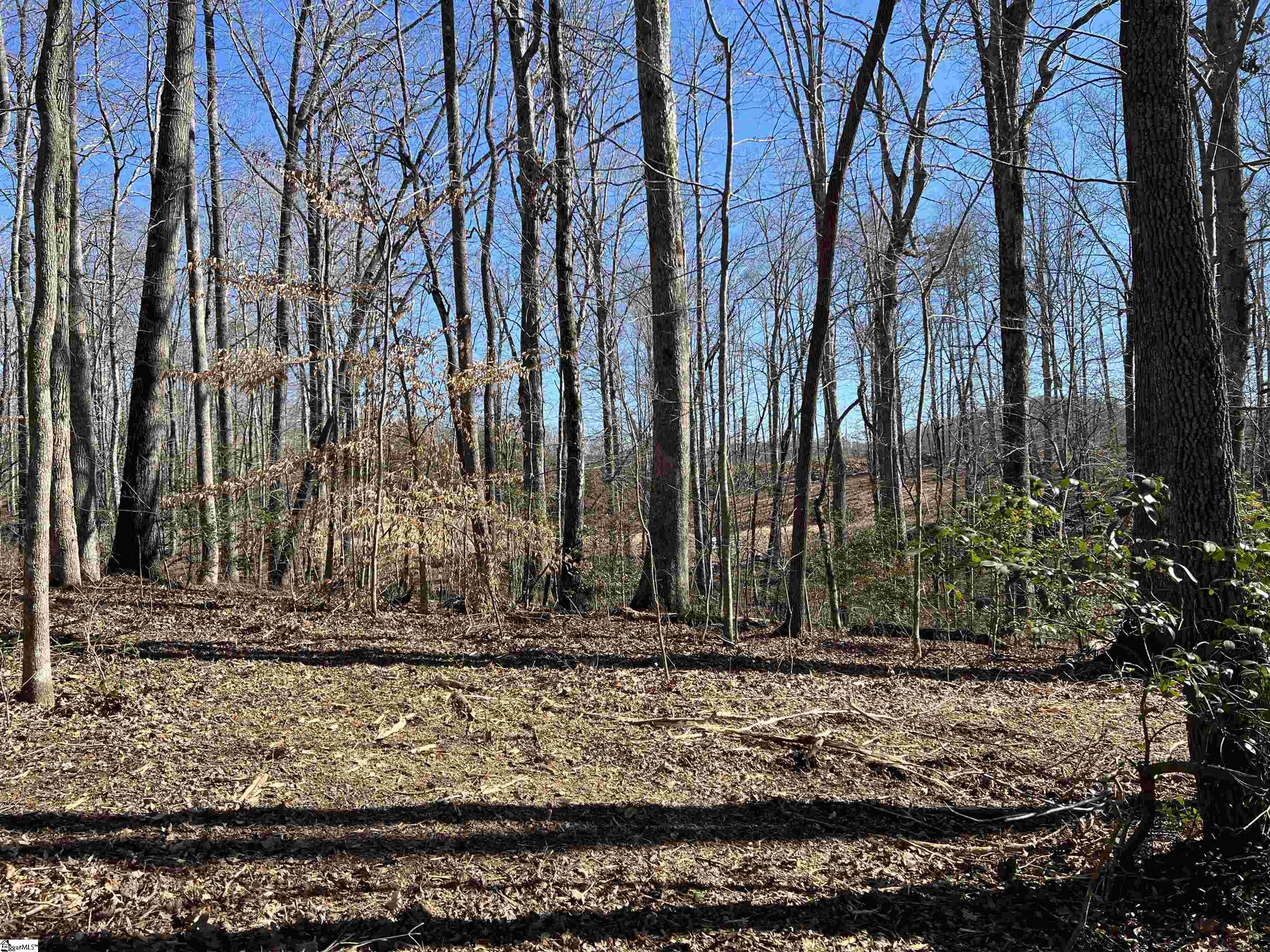 0 Bates Crossing Road, Unit LOT 3 Travelers Rest, SC 29690 - Photo 6 of 6