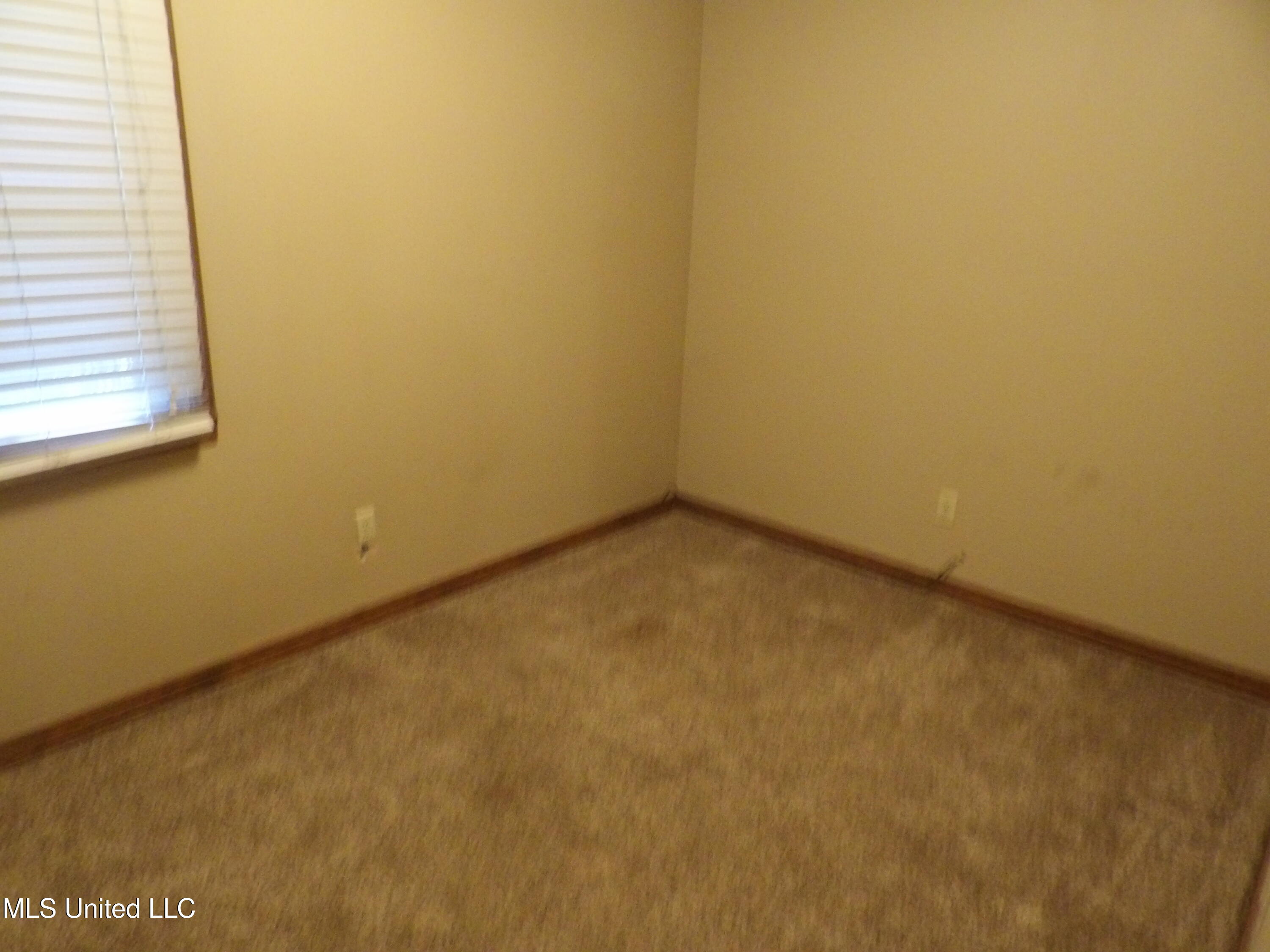 4271 Laws Hill Road Waterford, MS 38685 - Photo 13 of 21 100_6569