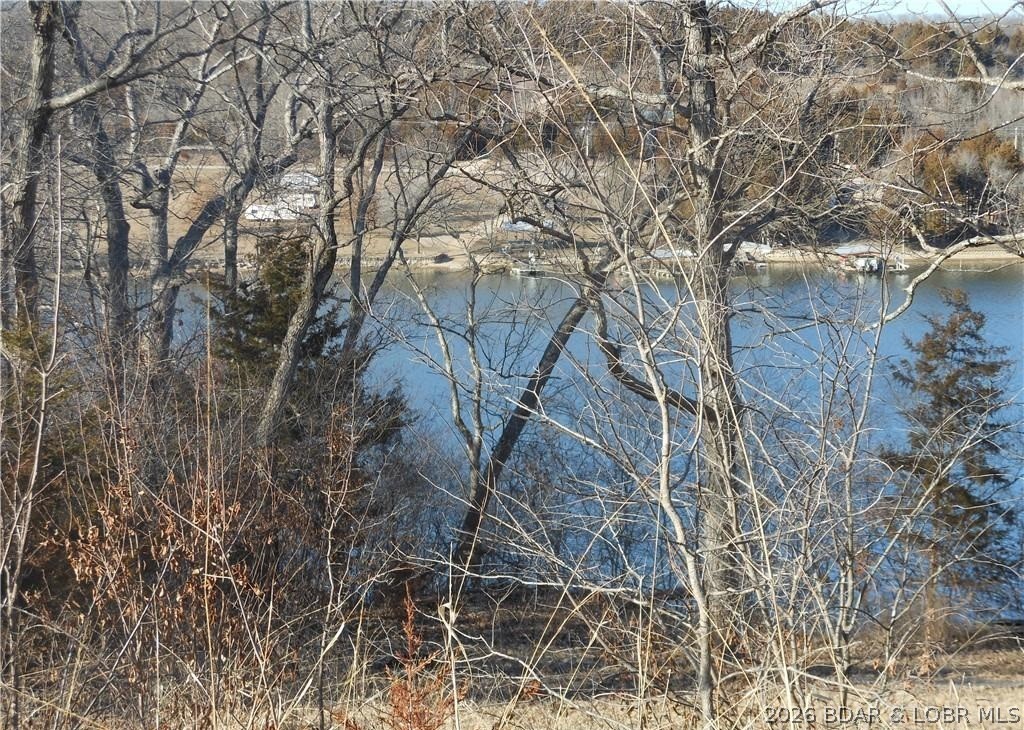 6 Jumping Bass Cove Road Roach, MO 65787 - Photo 4 of 4 Gallery Image 4