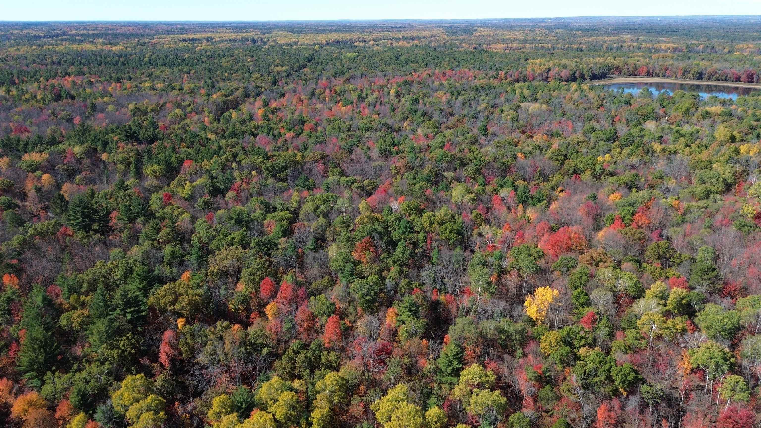 0 Timber Trail Prescott, MI 48756 - Photo 10 of 44