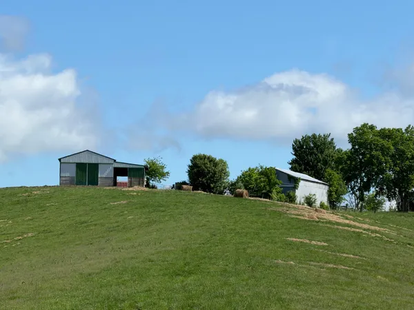 $275,000 | 20.99-ac Chipman Ridge Road, Williamstown, KY 41097