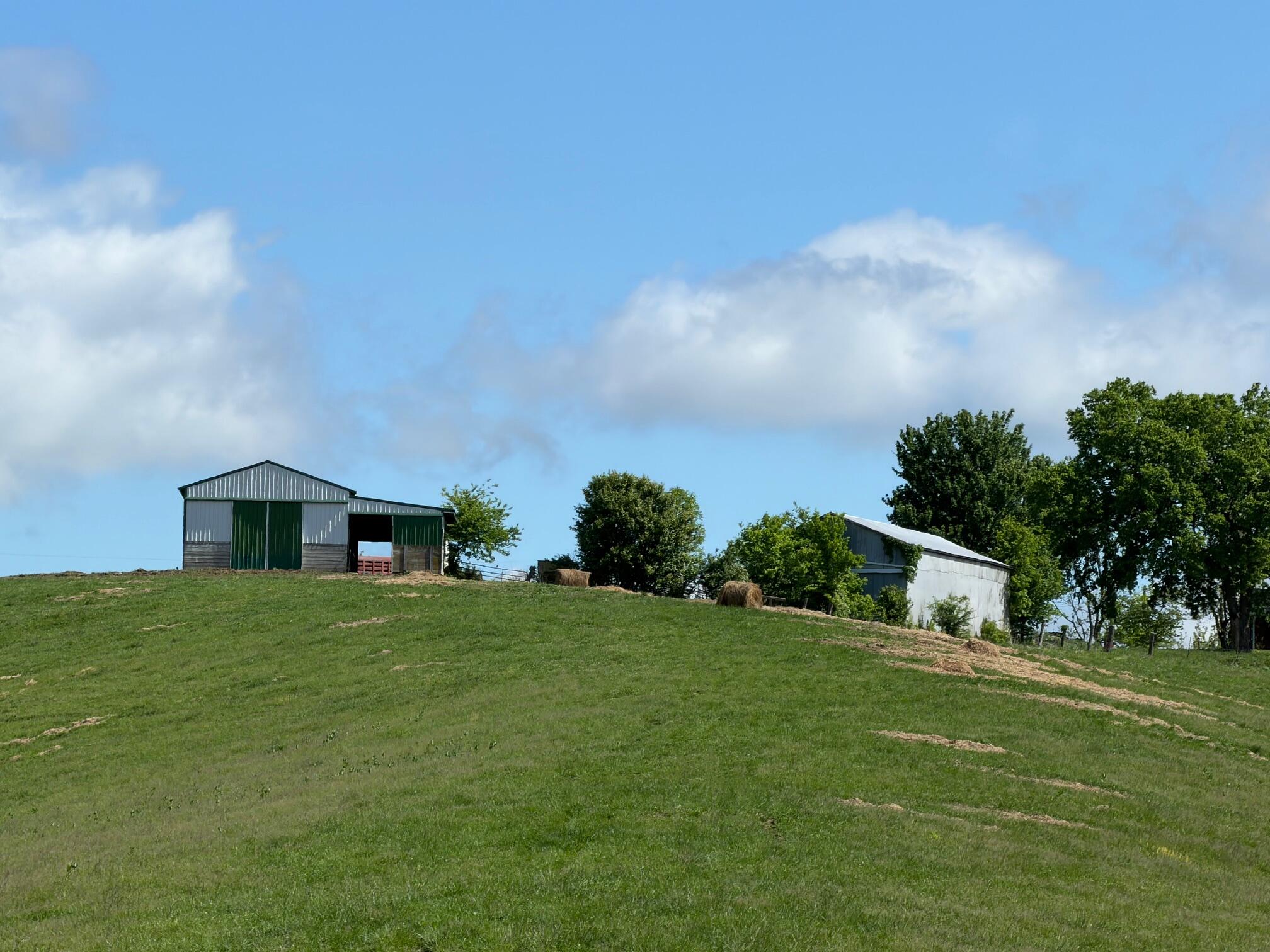 20.99-ac Chipman Ridge Road Williamstown, KY 41097 - Photo 1 of 21