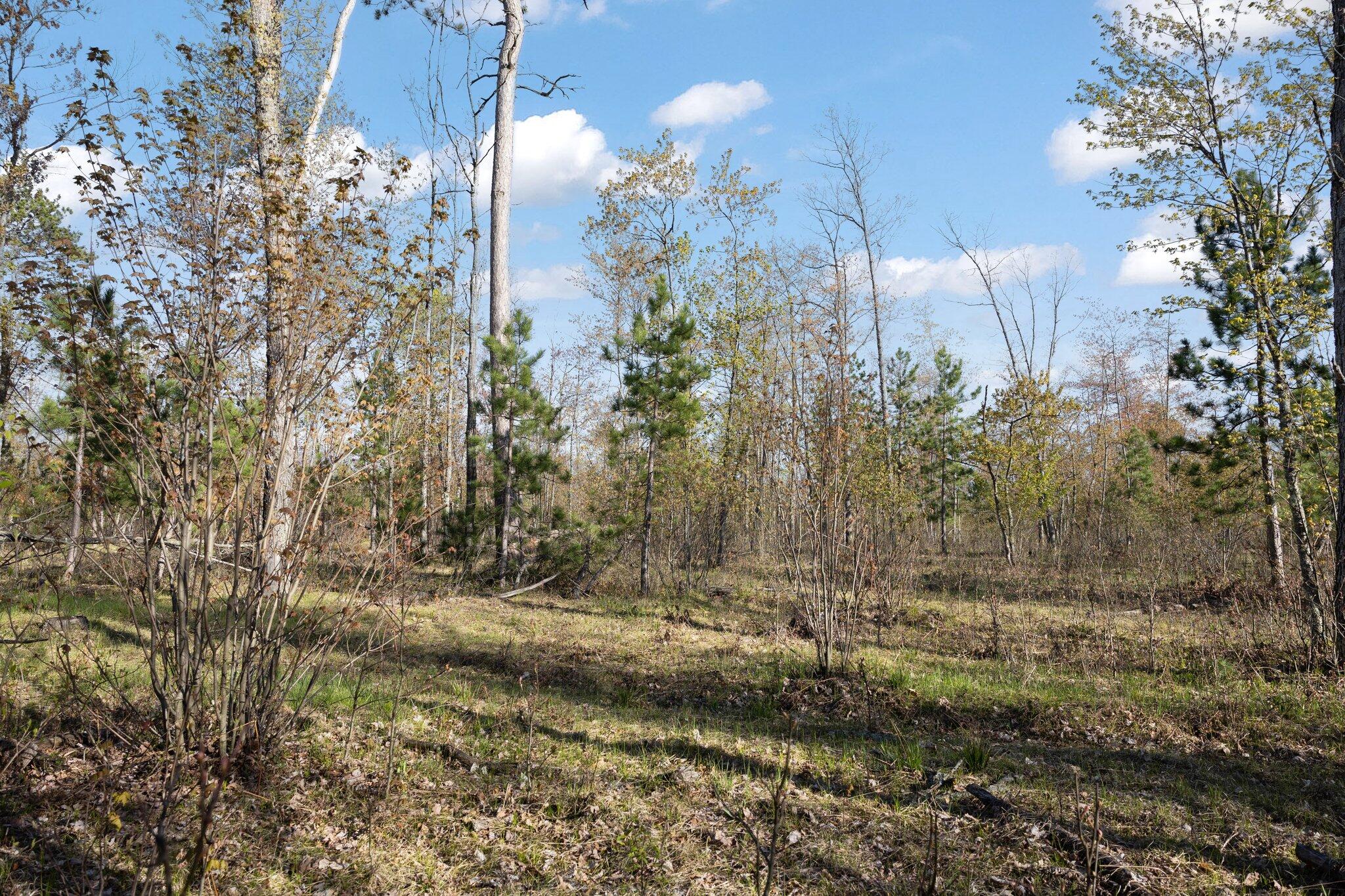 10-acres West Miller Road Lewiston, MI 49756 - Photo 43 of 43 Gallery Image 43