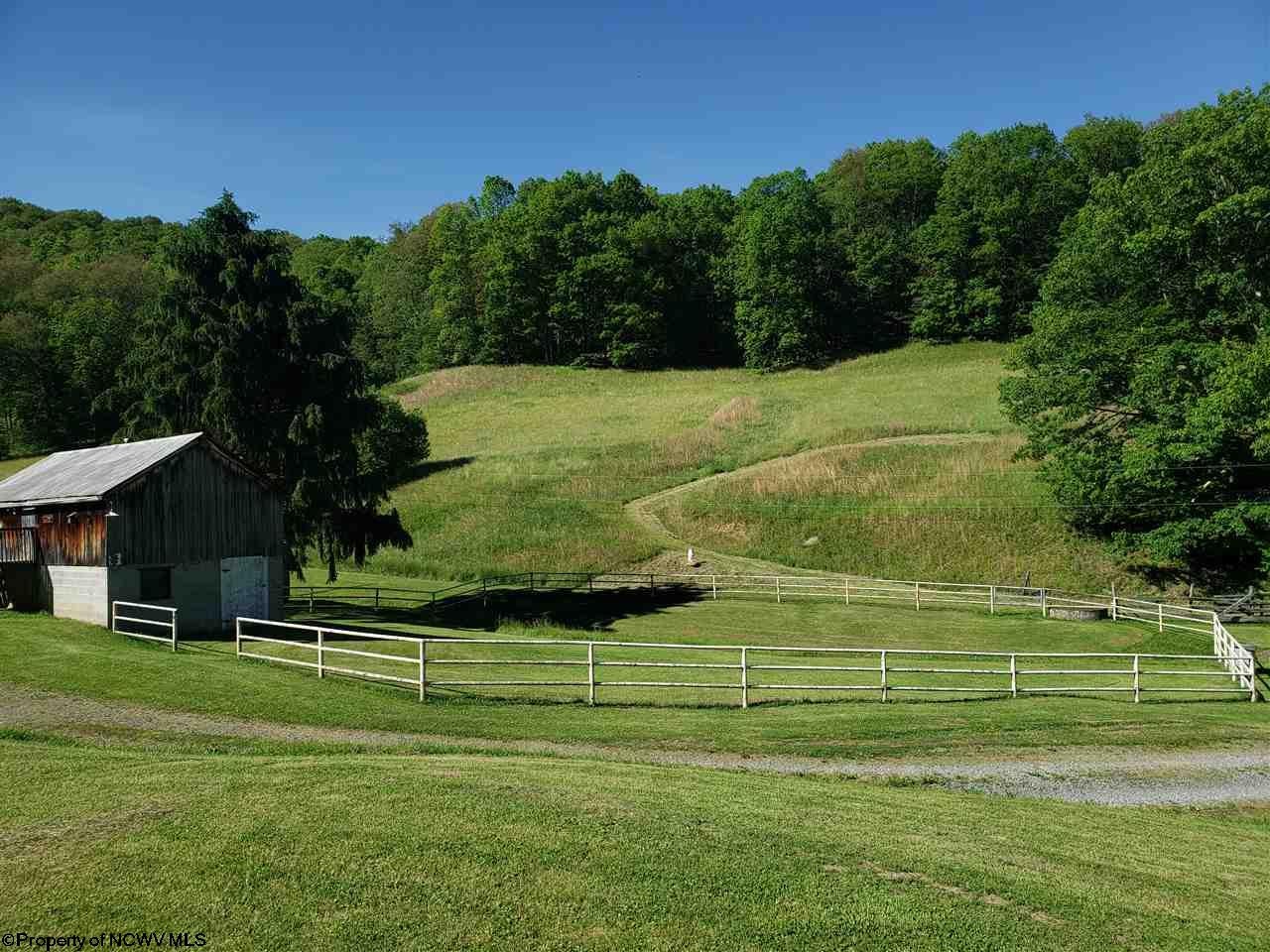 1058 Mods Run Road Mannington, WV 26582 - Photo 20 of 20 Gallery Image 20