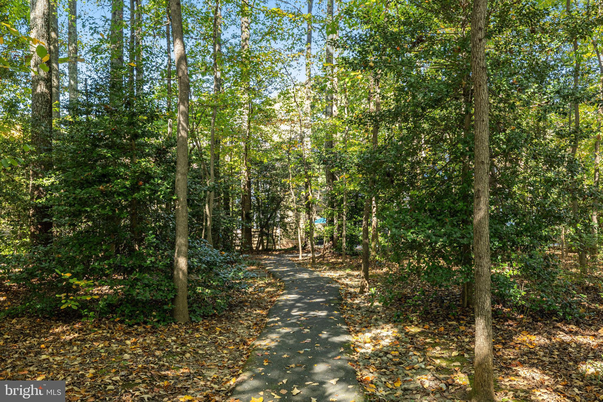 11410 Hollow Timber Way Reston, VA 20194 - Photo 53 of 55