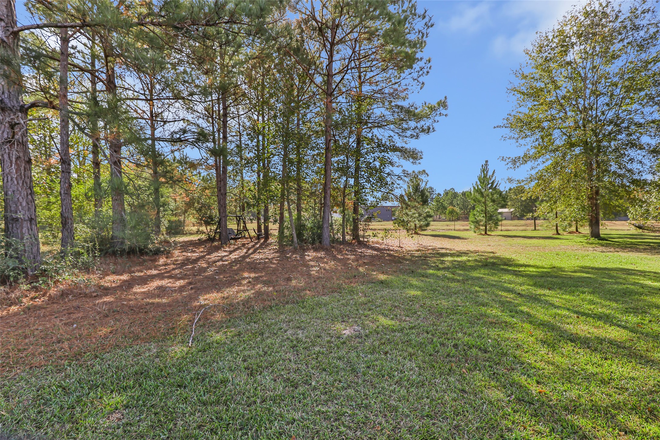 9006 Water Buck Lane Conroe, TX 77303 - Photo 17 of 48 a view of outdoor space with trees all around